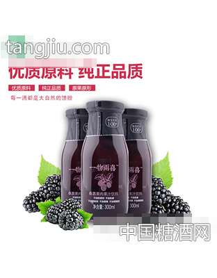 一物两喜桑葚果肉果汁饮料300ml瓶装