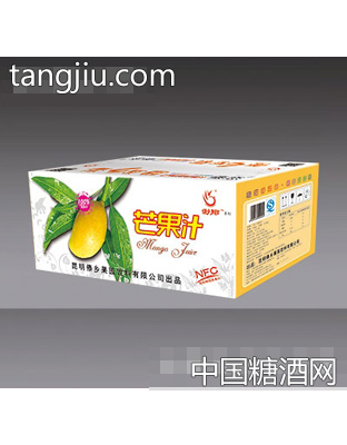 傣乡果园芒果汁外箱