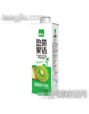 600ml热带果语猕猴桃汁饮料