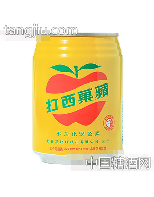 蘋果西打罐装饮料250ml