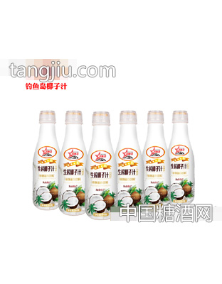 钓鱼岛生榨椰子汁500g（组合）