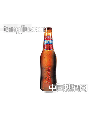 恩乐啤酒330ml瓶装