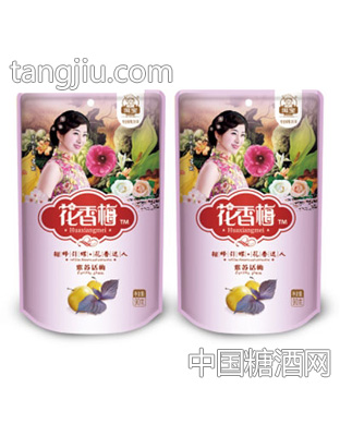 洱宝90g紫苏脆梅