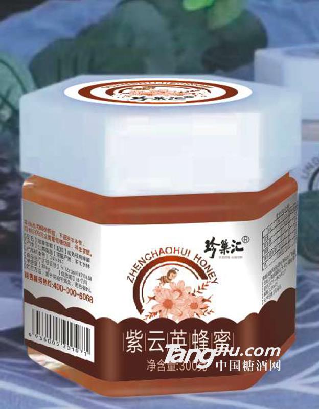 珍巢汇紫云英蜂蜜300g
