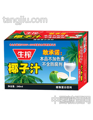 欣泉椰子汁植物蛋白饮料240ml