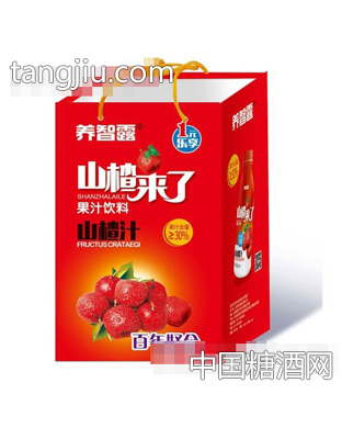 养智露山楂汁420ml（手提袋）