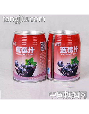 启色蓝莓汁242ml