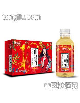 惠尔旺山楂π水果茶味饮料500mlX15