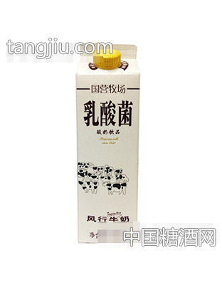 946mL屋乳酸菌酸奶饮品