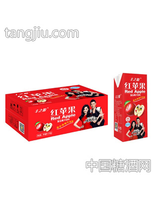 丰之源红苹果果汁饮料250mlx24盒