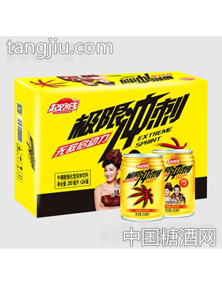 起跑线极限冲刺牛磺酸强化型风味饮料250mlx2