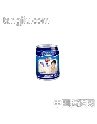 康辉花生牛奶蛋白饮料