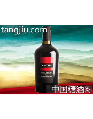 萨雷顿（新标）干红葡萄酒