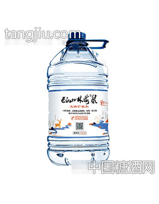 长白山林海泉天然矿泉水12.5L