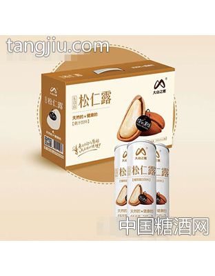 长白山松仁露果汁饮料240mlx12罐