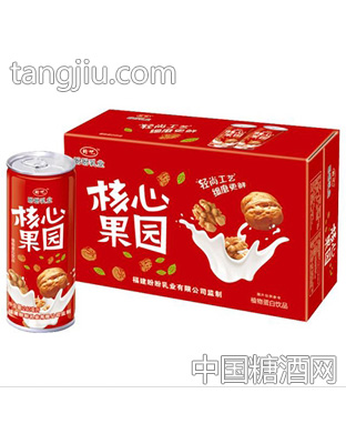 盼盼乳业核心果园植物蛋白饮品
