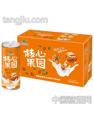 盼盼乳业核心果园饮品