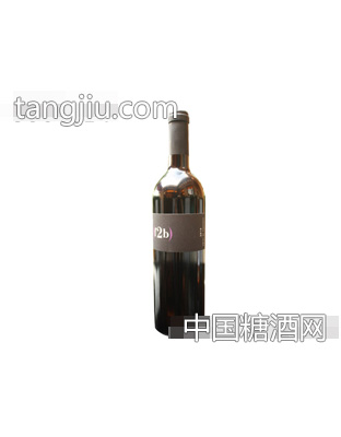 F2B2010年干红葡萄酒