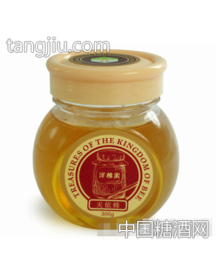洋槐蜜300g装