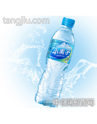 瓶装小黑子纯净水