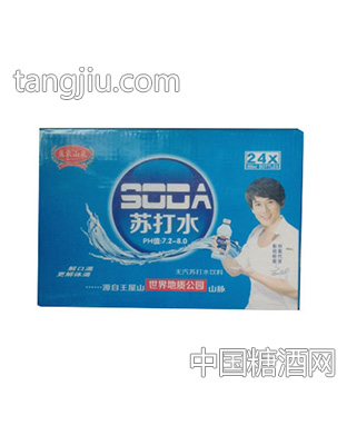 焦农山泉苏打水