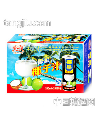 椰星椰子汁箱装