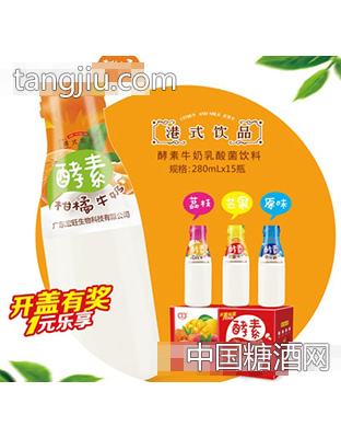 港式饮品酵素牛奶乳酸菌饮料