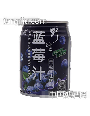 恒威蓝莓汁果粒果味饮料