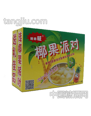 椰果派对果粒果味饮料255mlx12罐