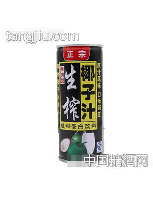 正宗生榨椰子汁植物蛋白饮料
