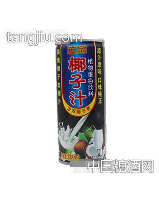 正宗椰子汁植物蛋白饮料238ml