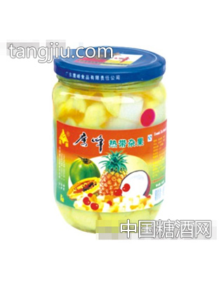 鹰峰565g热带杂果