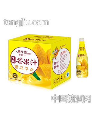 韩元素生榨芒果汁