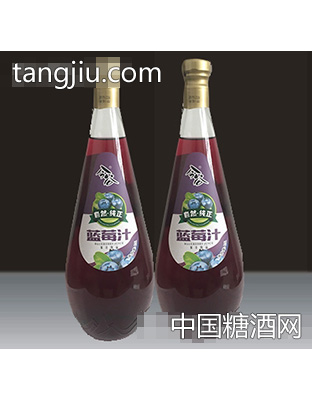 今谷蓝莓汁