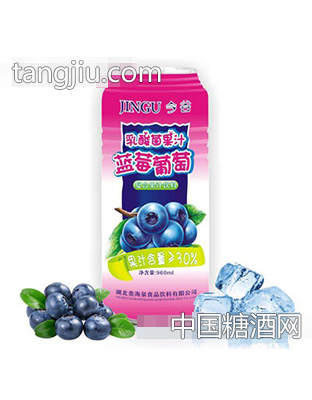 今谷乳酸菌蓝莓葡萄果汁