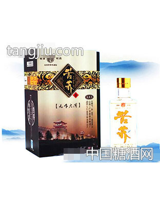 壶泉苦荞天下大同