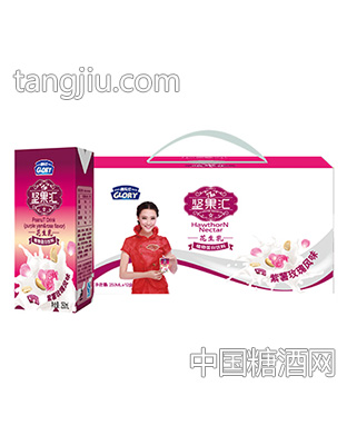 高乐仕坚果汇花生玫瑰植物蛋白饮料250mlx12