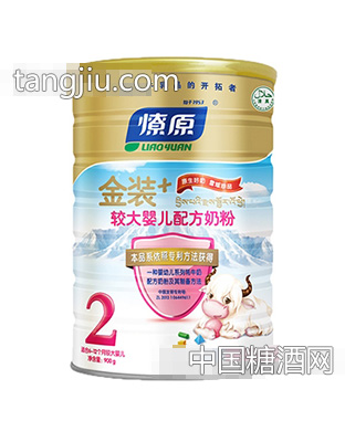 金装+较大配方奶粉