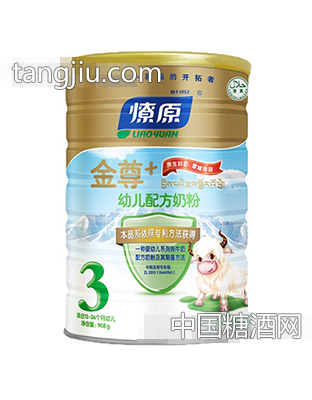 金尊+幼儿配方奶粉