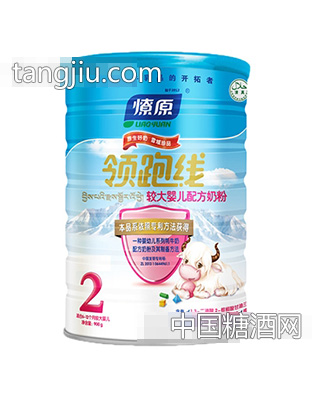 领跑线较大配方奶粉900g