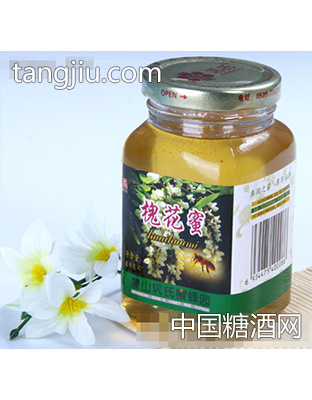 巩氏蜂蜜槐花蜜400g