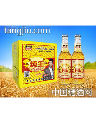 劲派纯生啤酒500ml×12瓶