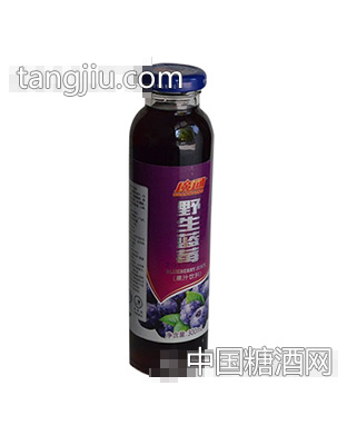 广通野生蓝莓汁300ml