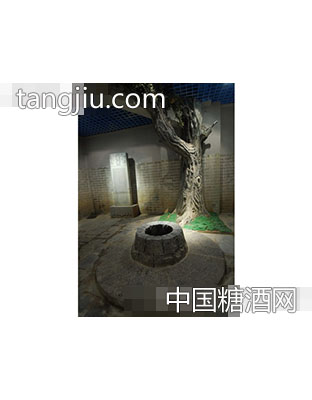 地下宋井