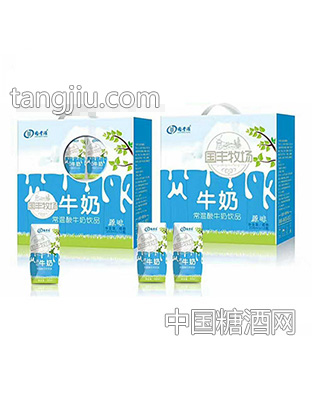 国丰牧场常温酸牛奶