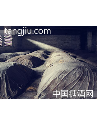 鑫霸实业漕溪厂区发酵池