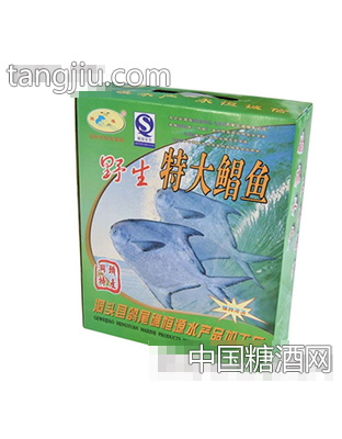 鸽礁特大鲳鱼礼盒装