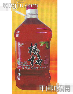 杨梅酒2L