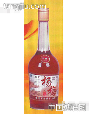 杨梅酒500ML