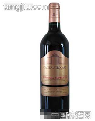 波尔多托卡黄金古堡干红葡萄酒2007
